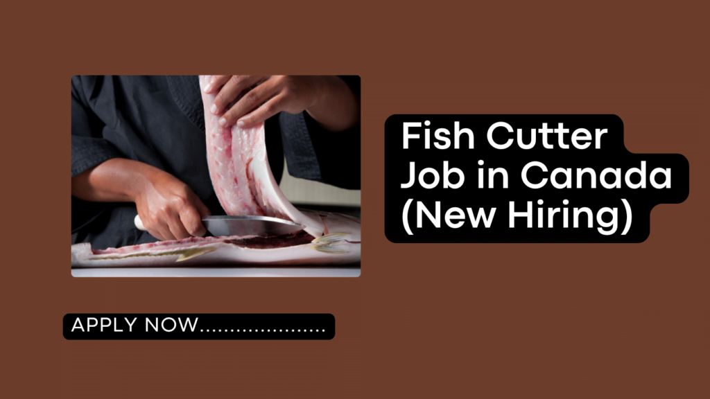 Fish Cutter Jobs in Canada
