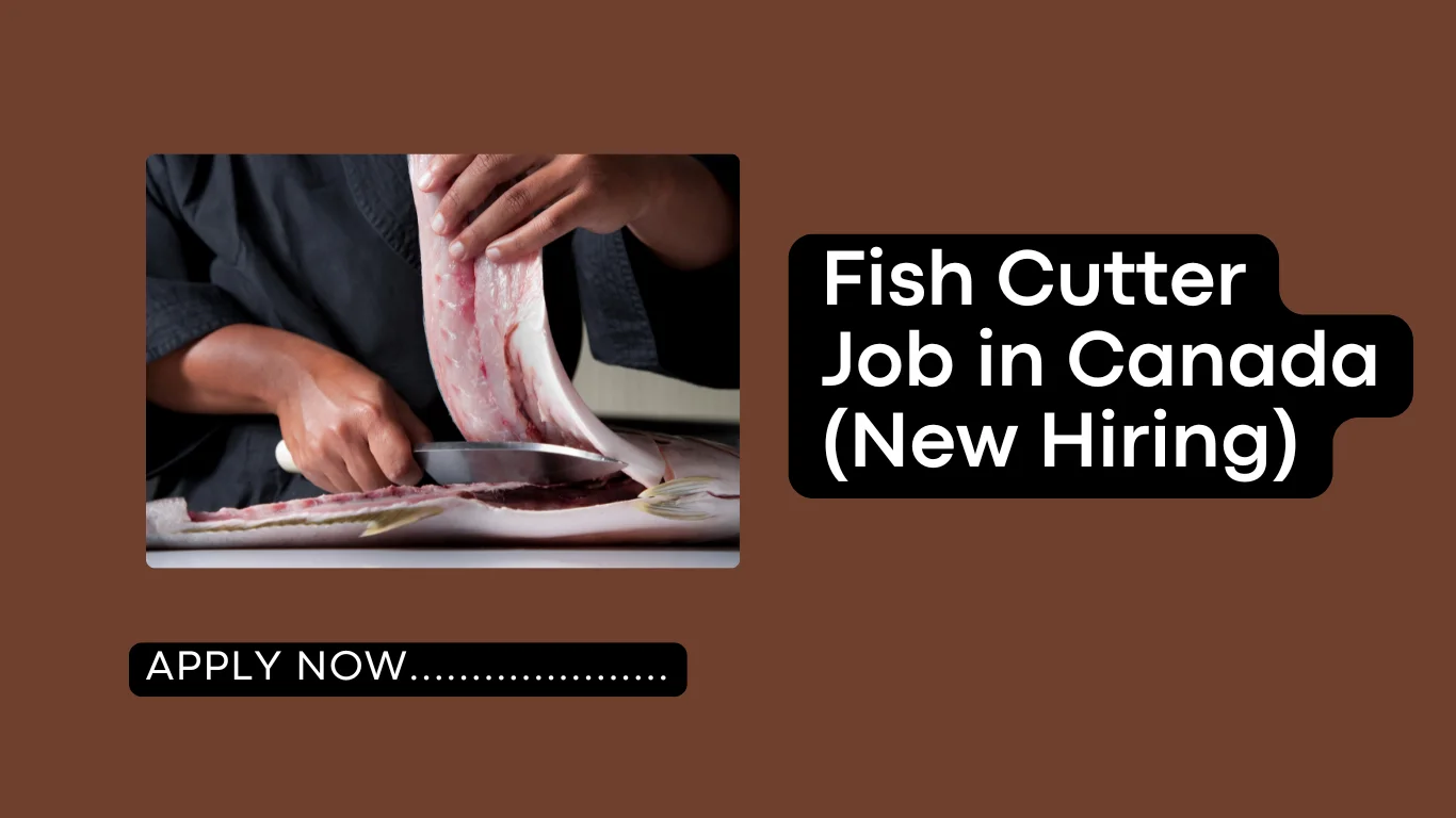 Fish Cutter Jobs in Canada