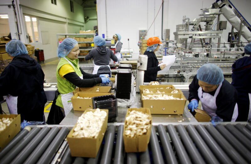 Canada Factory Worker Jobs 2026 – Salary, Requirements, and How to Apply