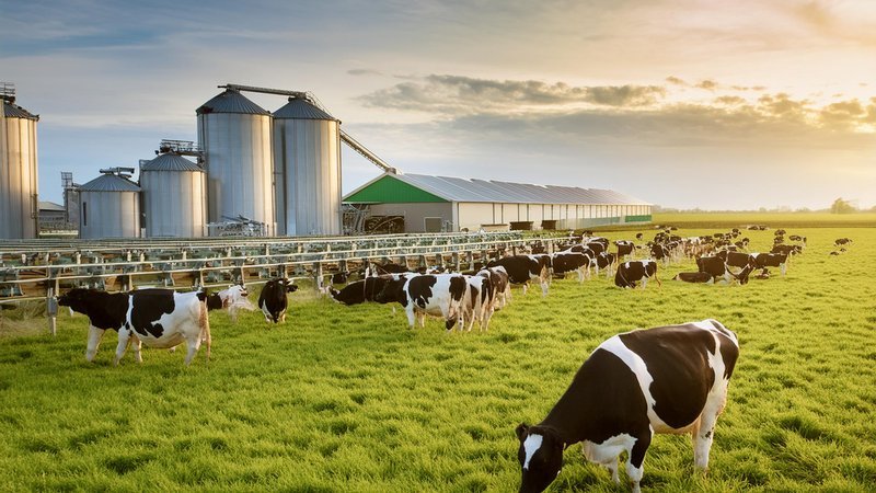 Canadian Dairy Farms Hiring in 2026 – Jobs, Salaries, Visa Sponsorship, and How to Apply